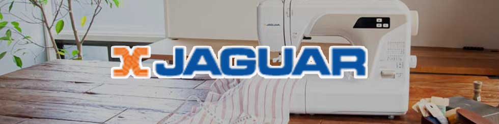 /top/jaguar-head.jpg